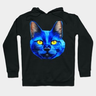 Cat the seems avatar Hoodie